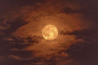 Full moon, supermoon, blood moon behind clouds, Baden-Württemberg, Germany, Europe