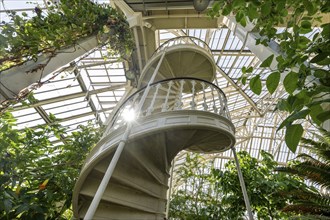 Cast-iron spiral staircase, Temperate House, largest Victorian greenhouse in the world, Royal