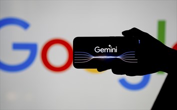 Guwahati, India. 8 December 2023. In this photo illustration a Gemini logo is displayed on a