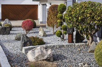 Gravelled garden in front of a detached house, Merklingen, Alb-Donau-Kreis, Baden-Württemberg,