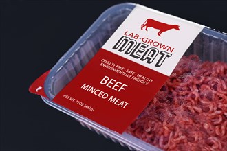 Lab grown cultured meat concept for artificial in vitro cell culture meat production with packed