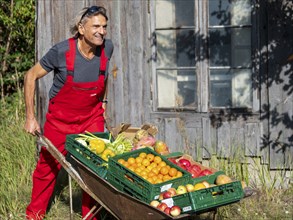 Man with red work trousers pushing wheelbarrow full of different fruits in front of old shed,