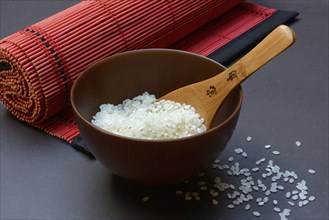 Rice, white rice in bowl with wooden ladle