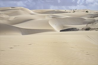 Dunes formed by blown in Sahara desert sand and volcanic rocks in the Deserto de Viana desert on