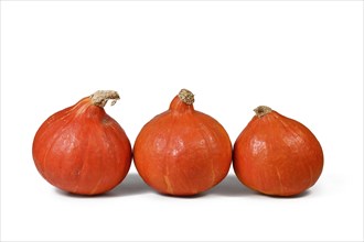 Three 'Red Kuri' squashes, also called 'Hokkaido' squash on white background