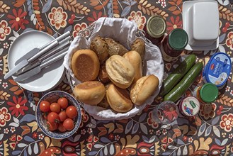 Set breakfast table on a colourful tablecloth on the terrace, Mecklenburg-Vorpommern, Germany,