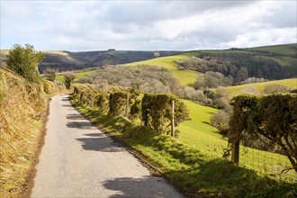 Narrow road leading into Exmoor national park landscape, near Malmsmead, Devon, England, United