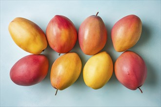 Top vie wof whole mango fruits on blue background. KI generiert, generiert, AI generated