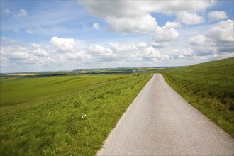 Small narrow lane on chalk downland, Allington Down, Wiltshire, England, United Kingdom, Europe