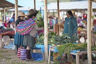 Peruvian woman with traditional hat buying vegetables, indigenous market in Chinchero, Cusco