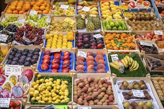 Market stall with exotic fruits in the Markthalle Stuttgart, Baden-Württemberg, Germany, Europe