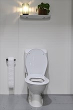 Toilet with decoration