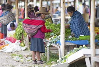 Peruvian woman with traditional hat buying vegetables, indigenous market in Chinchero, Cusco