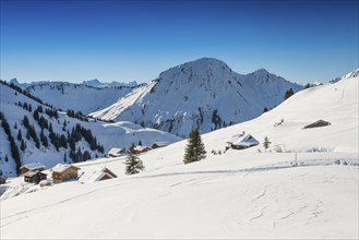 Snow-covered mountain landscape, Damüls, Bregenzerwald, Vorarlberg, Austria, Europe