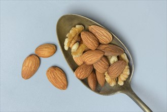 Almonds and walnuts in spoonfuls, daily ration