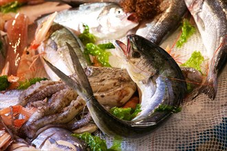 Fish in display, detail, octopus, fish market, Catania, Old Town, Baroque Old Town, Eastern