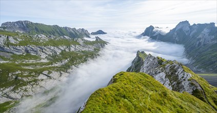 View of mountain peaks above the sea of clouds, SÃ¤ntis mountains and valley of Meglisalp, high