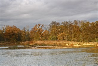 Autumn in the floodplain, view of a river gravel bank and steep banks of the river Mulde near