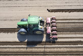 Aerial view, tractors sowing sunflower seeds, Thyrow, 21.04.2023