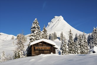 Snow-covered mountains and mountain hut with ski slope, Damülser Mittagspitze, Damüls,