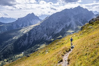 Hiker on the Carnic High Trail, Carnic Main Ridge, Carnic Alps, Carinthia, Austria, Europe