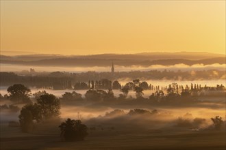 Early morning fog with sunrise over the Radolfzeller Aachried, behind it Lake Constance with the