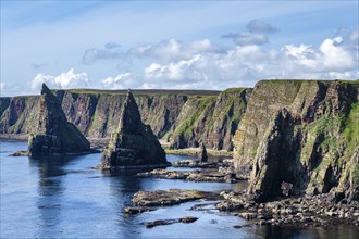 Rugged coastal landscape with the Duncansby Stacks on the coast of Duncansby Head, County