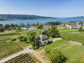 Aerial view of the Hochwart vantage point and vineyard on the island of Reichenau, Constance