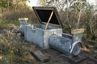 Live trap for red fox (Vulpes vulpes), Strohauser Plate, LK Wesermarsch, Lower Saxony, Germany,