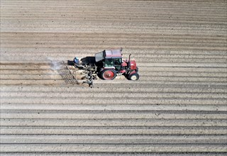 Tractor dragging a plume of dust behind it while working a potato field, Münchenberge, 20/05/2020