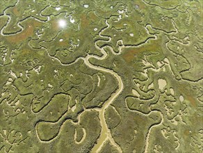 Network of channels and streams at low tide. In the marshland of the Piedras River. Aerial view.