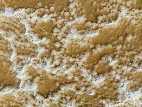 Saline deposits at the Bonanza salt works near Sanlucar de Barrameda. Aerial view. Drone shot.