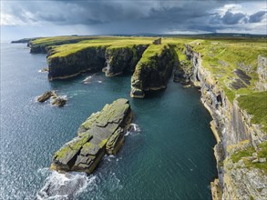 Aerial view of the ruined Castle of Old Wick surrounded by rugged cliffs on the North Sea coast,