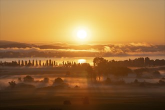 Early morning fog with sunrise over the Radolfzeller Aachried, Lake Constance behind, Radolfzell,