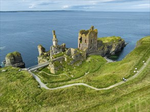 Aerial view of Girnigoe and Sinclair Castle ruins, rock castle on the North Sea coast, Wick, County