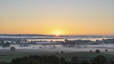 Early morning fog with sunrise over the Radolfzeller Aachried, behind it Lake Constance with the