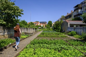 Gardener and Hacker Museum, Garden City, Bamberg, Upper Franconia, Bavaria, Germany, Europe