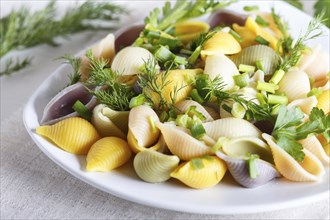 Conchiglie colored pasta with fresh greengrocery on a linen tablecloth on white wooden background.