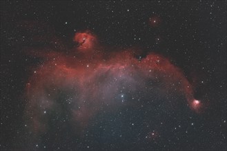 IC2177, NGC2235, NGC2327, Seagull Nebula, foggy landscape with hydrogen h alpha is located on the