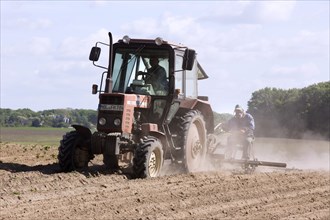 Tractor dragging a plume of dust behind it while working a potato field, Münchenberge, 20/05/2020