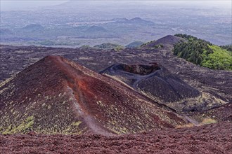 Lava rock and crater landscape around the Crateri Silvestri in the Etna National Park, Parco