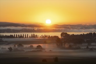 Early morning fog with sunrise over the Radolfzeller Aachried, Lake Constance behind, Radolfzell,