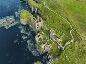 Aerial view of Girnigoe and Sinclair Castle ruins, rock castle on the North Sea coast, Wick, County