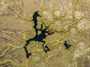 Aerial view of a marshland on the north-east coast of Scotland, County Caithness, Scotland, Great