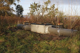 Live trap for red fox (Vulpes vulpes), Strohauser Plate, LK Wesermarsch, Lower Saxony, Germany,