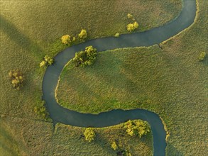 Aerial photograph, top down view of the Radolfzeller Aach, which flows into the western part of