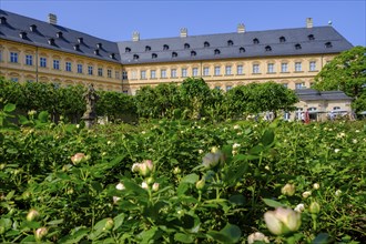 Rose Garden, New Residence, Domberg, Bamberg, Upper Franconia, Bavaria, Germany, Europe