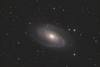 M81, NGC 3031, Bode's Galaxy in the constellation Ursa Major