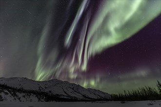 Green, yellow and purple northern lights (aurora borealis) over snowy mountains, northern lights