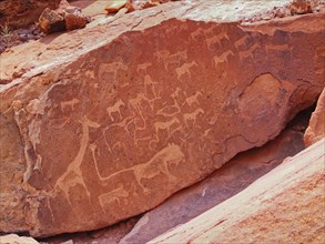 Rock paintings and rock carvings from Mesolithic cultures at a site in Twyfeltontein.